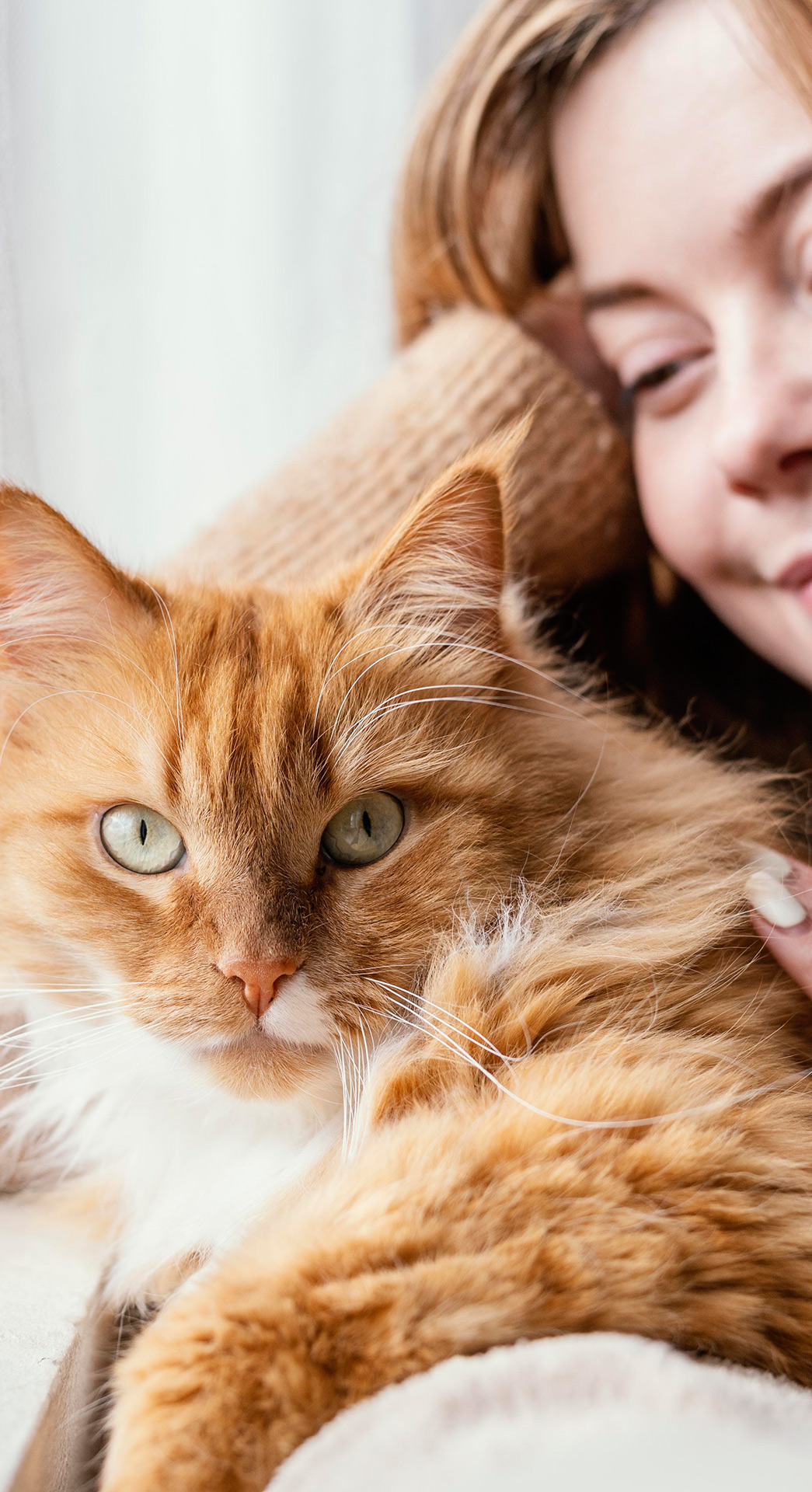 cat day care walking dog cat care pet sitting