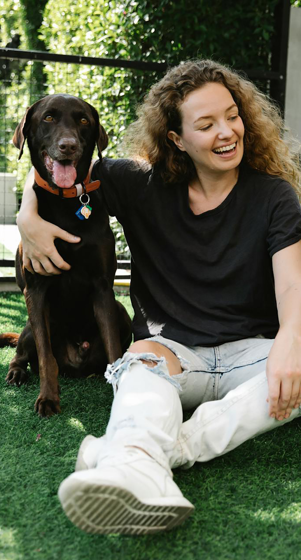 weekend pet care dog cat care pet sitting
