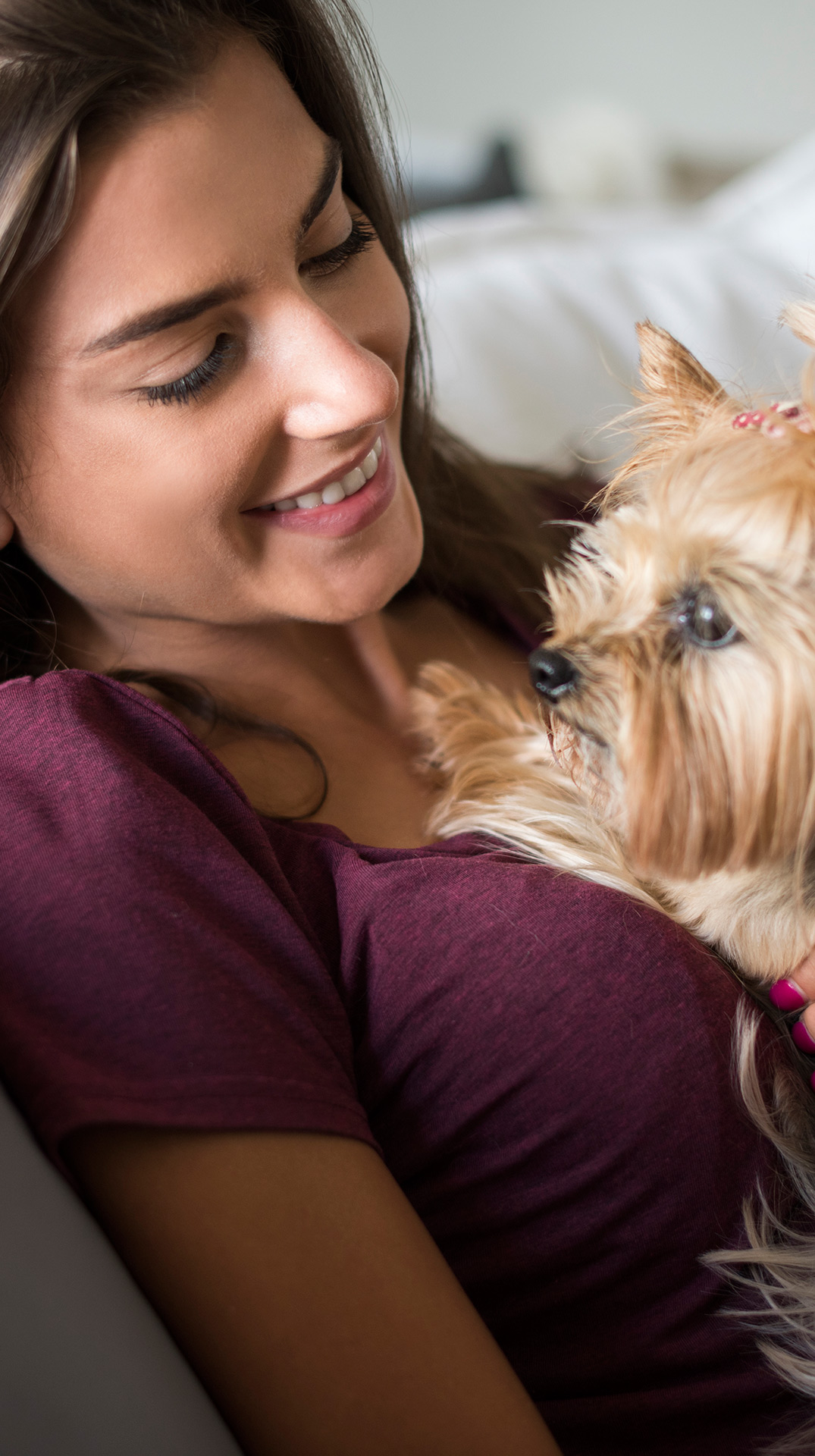 insured dog walker london pet day carers
