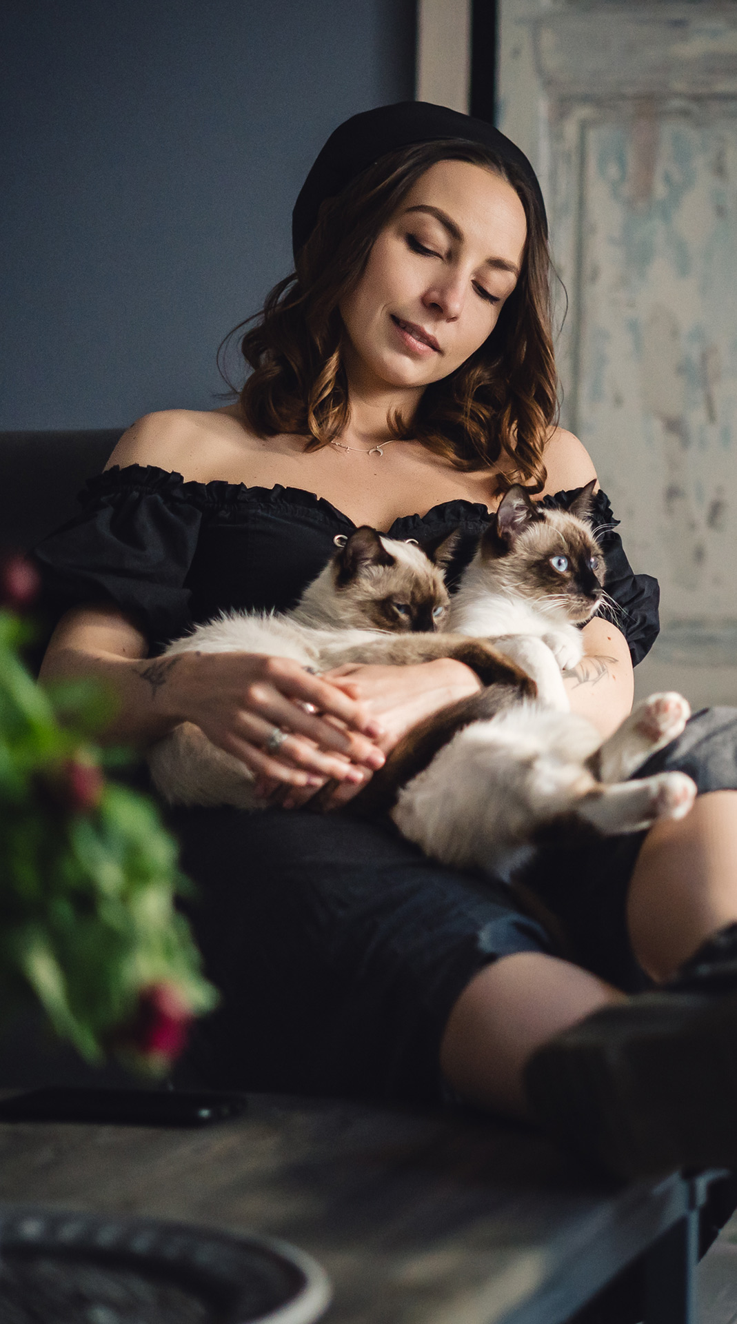holiday pet care dog cat care pet