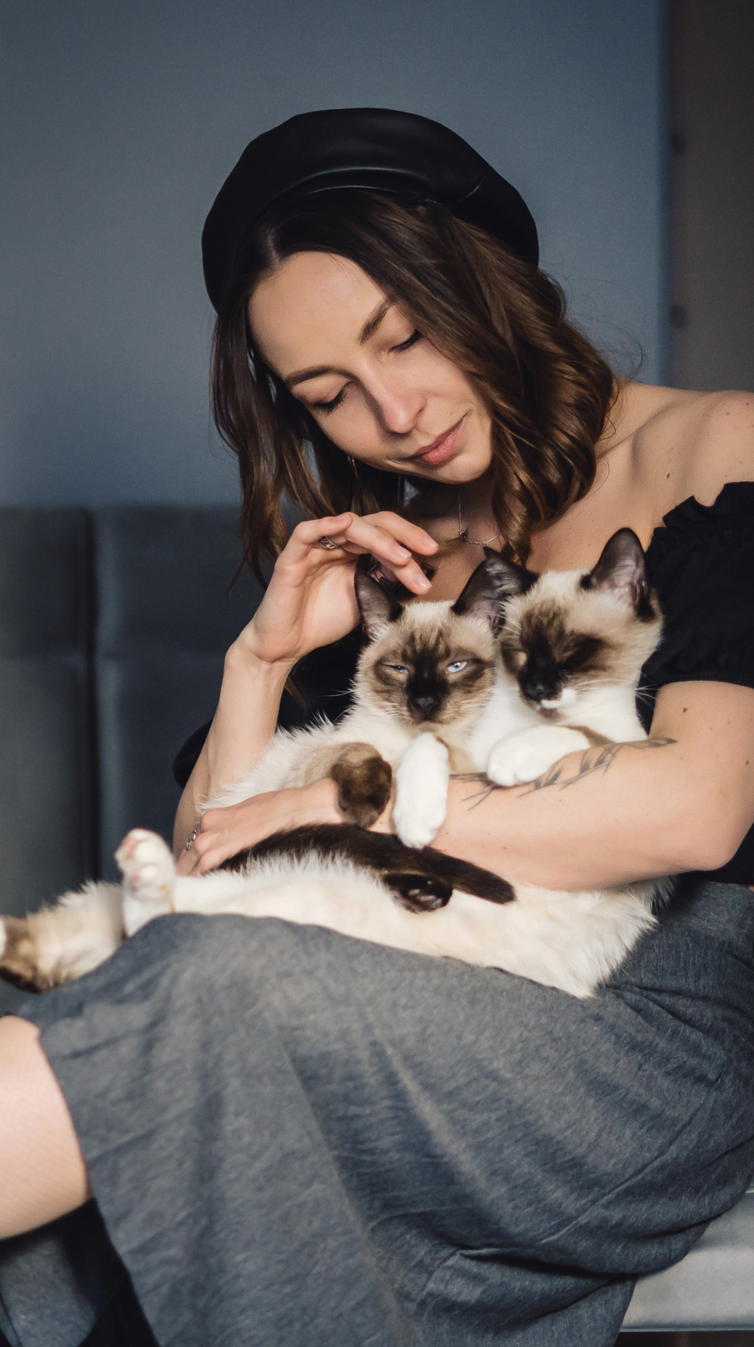 holiday pet care dog cat care pet
