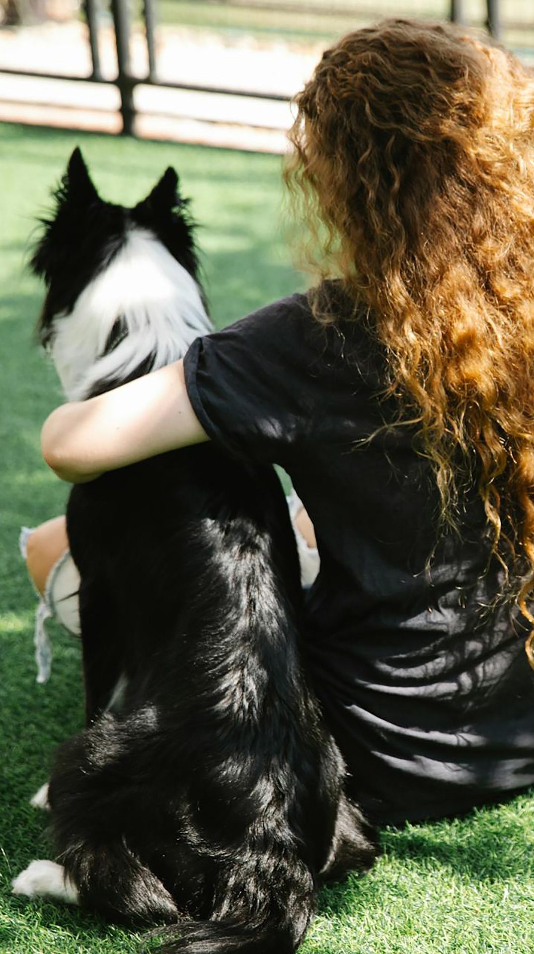 weekend pet care dog cat care pet sitting