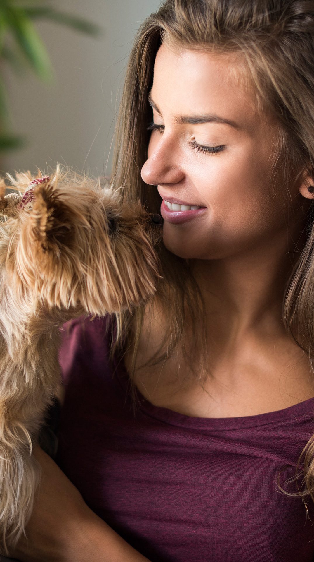 insured dog walker london pet day carers