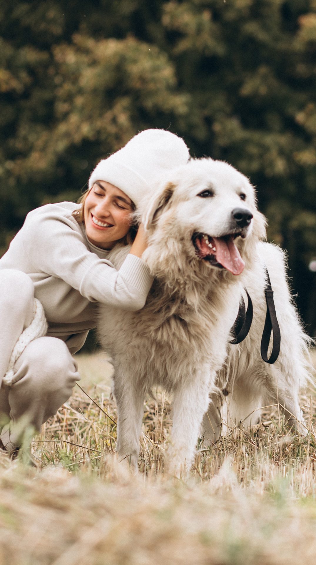 dog walking dog cat care pet sitting weekend pet care holiday-pet-care pet day carers