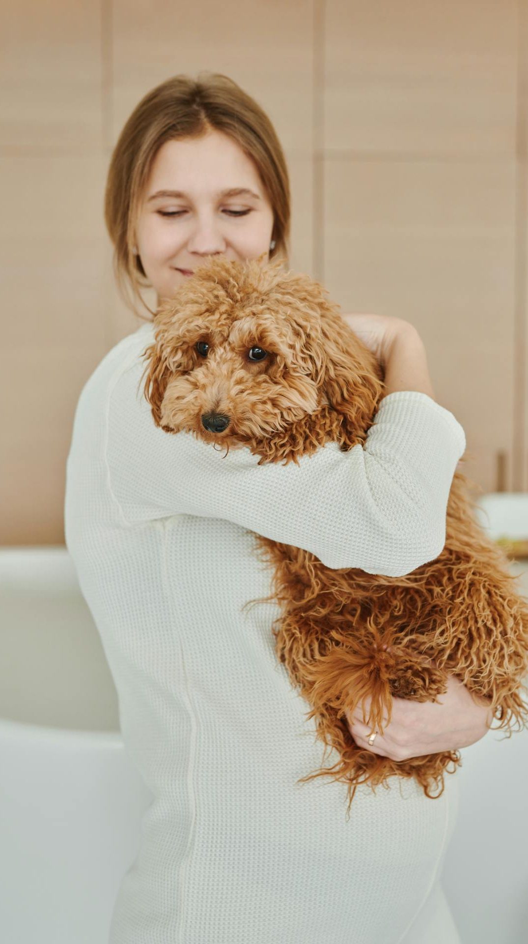 weekend dog care pet day carers dog walking